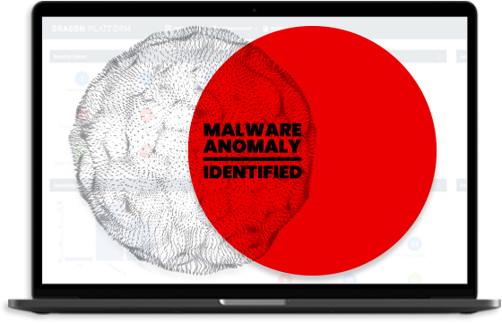 malware anomaly identified