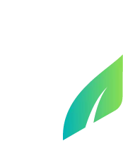 PIX4D - Software Profesional de Fotogrametria 4